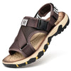 Color: Dark brown