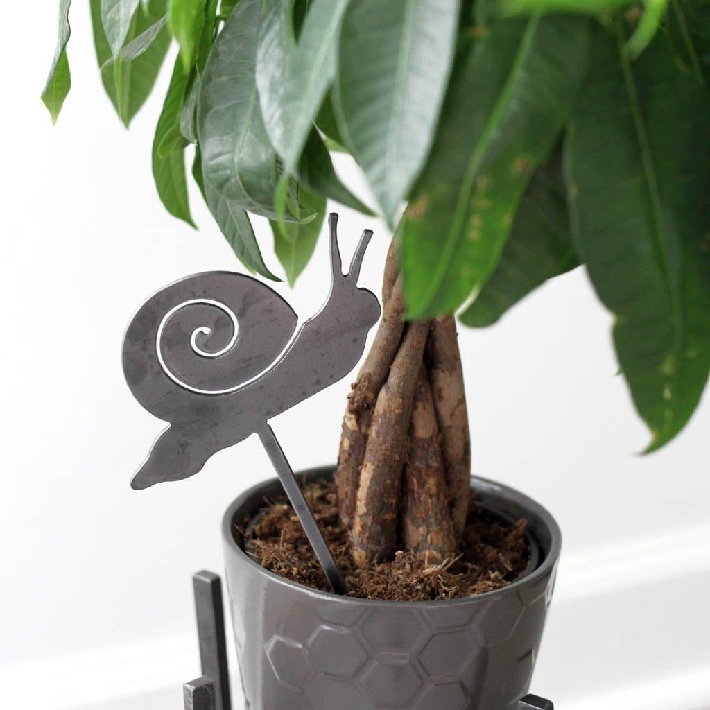 Snail Plant Stake - Trendha