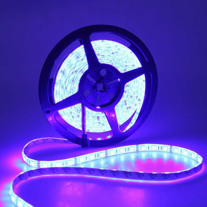 5M 5050 RGB Waterproof 300 LED Strip Light DC12V+24 Key IR Remote Controller for Outdoor Use - Trendha