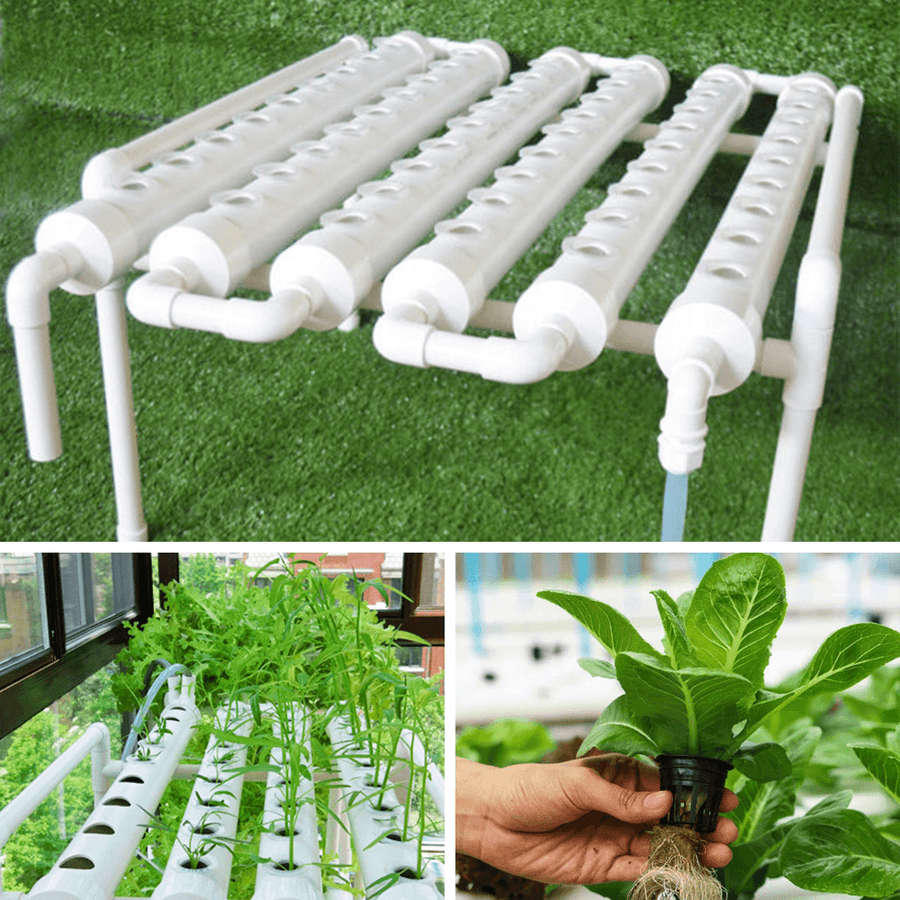 110-220V 54 Holes Hydroponic Piping Site Grow Kit Deep Water Culture Planting Box Gardening System Nursery Pot Hydroponic Rack - Trendha