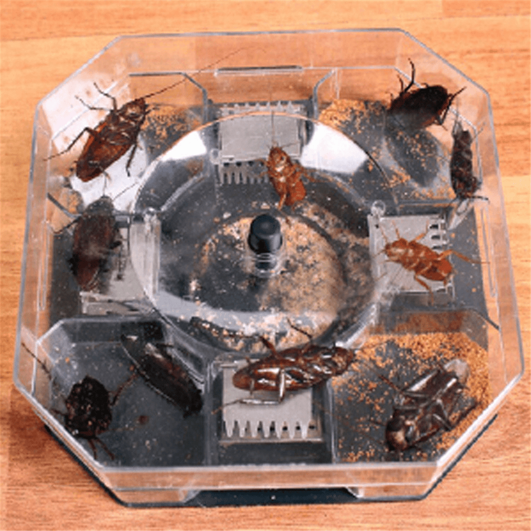 Large Cockroach Lizard Insect Trap Killer ECO Non Poison Reusable Catcher Box Snail Slug Trapper - Trendha