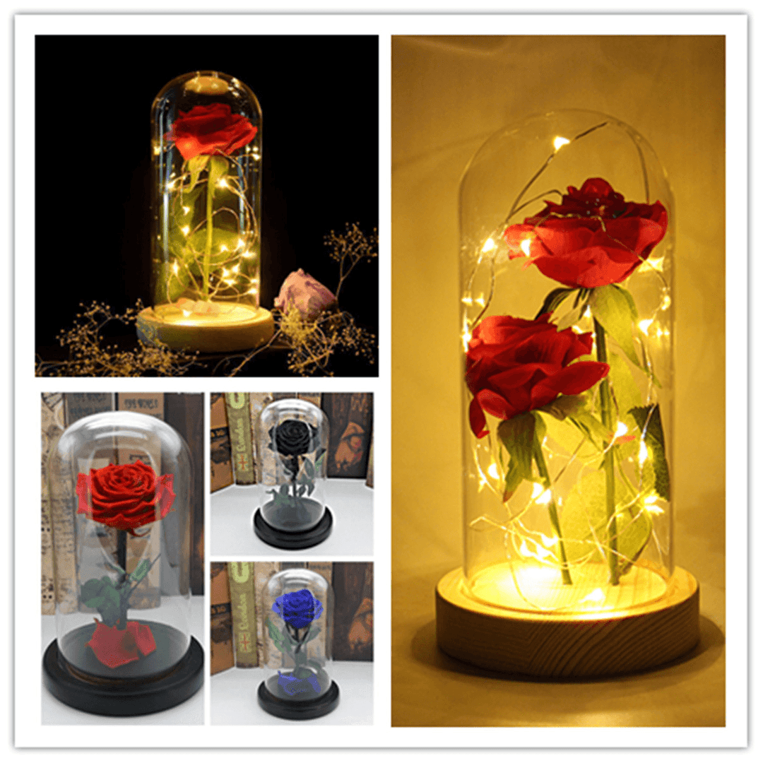 Forever Rose Beauty & the Beast Immortal Fresh Flower Christmas Unique Gifts Decorations - Trendha