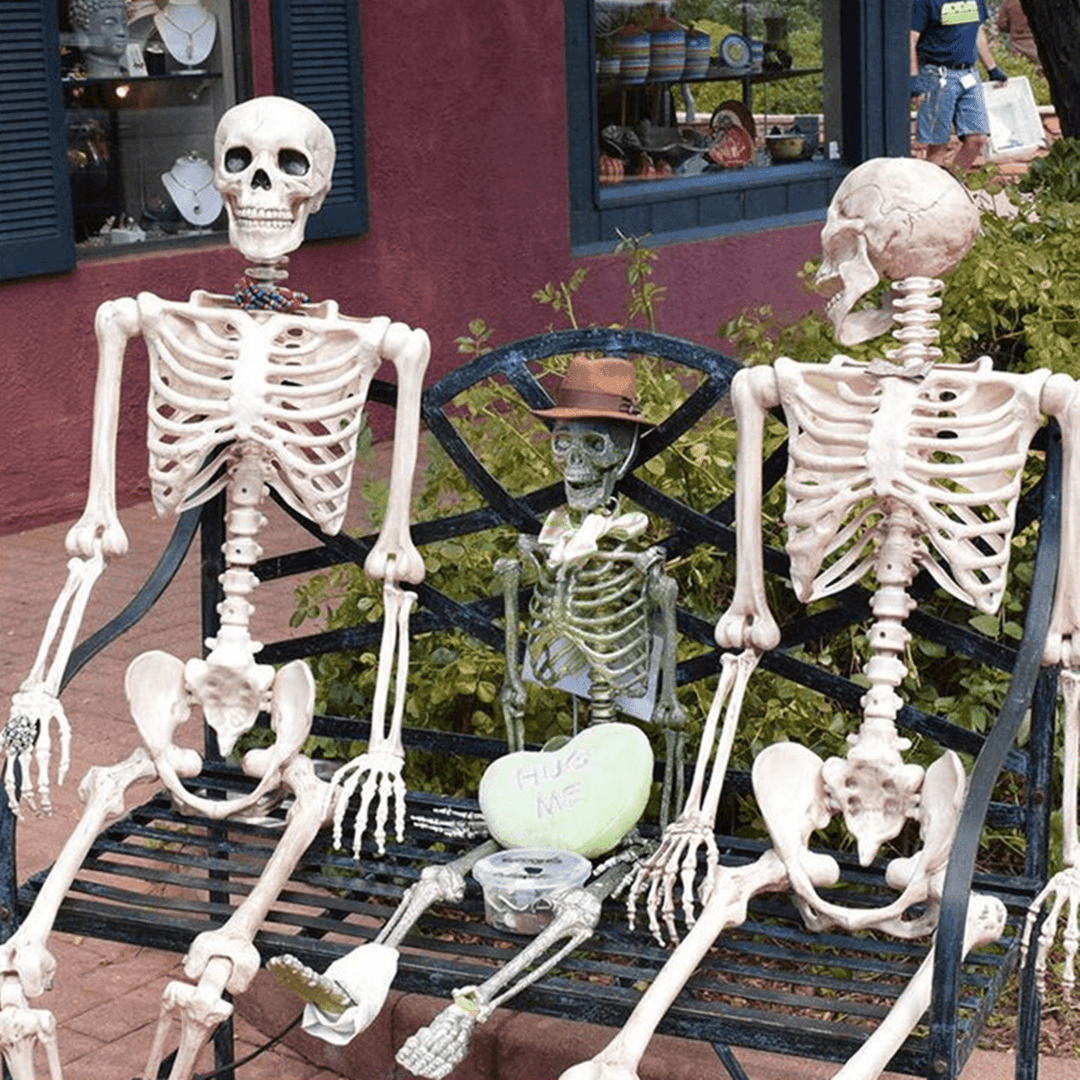 170Cm Halloween Skeleton Poseable Decorations Life Size Party Decoration Gift PVC - Trendha