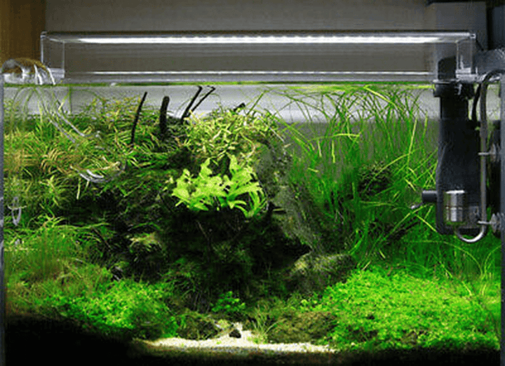 24W 40CM Chihiros A-Series White Colors Aquarium Light Fish Tank 5730 LED Lamp - Trendha