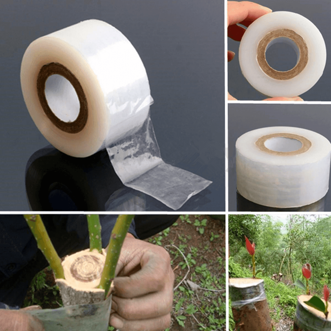 Nursery Grafting Stretchable Tape Self-Adhesive for Garden Tree Seedling 2Cm×6Cm×80M - Trendha