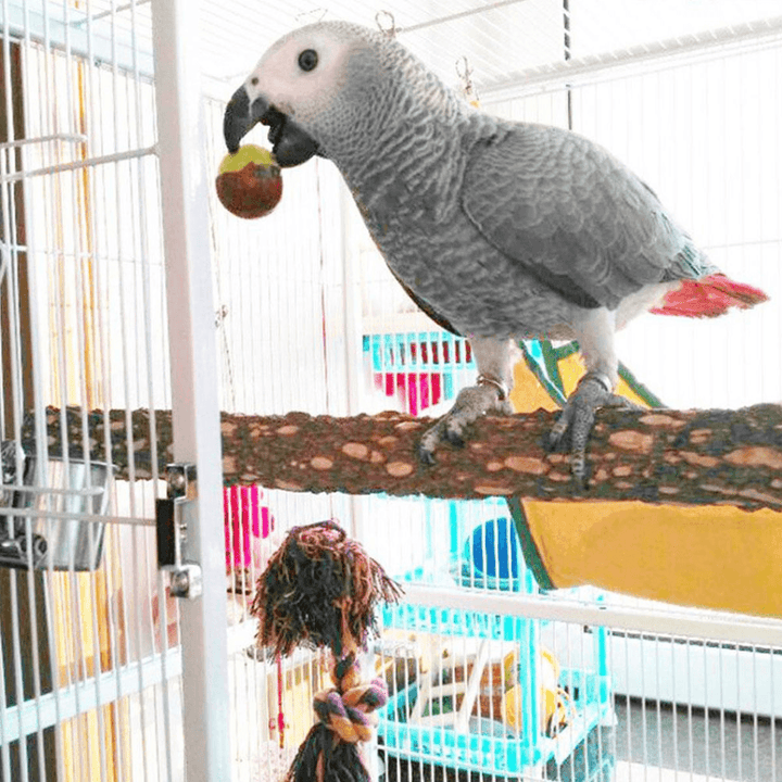 Natural Wooden Stand Stick for Pet Birds Parrots Standing Swing Chewing Bite Claw Grinding Perch Cage Toys Accessory - Trendha