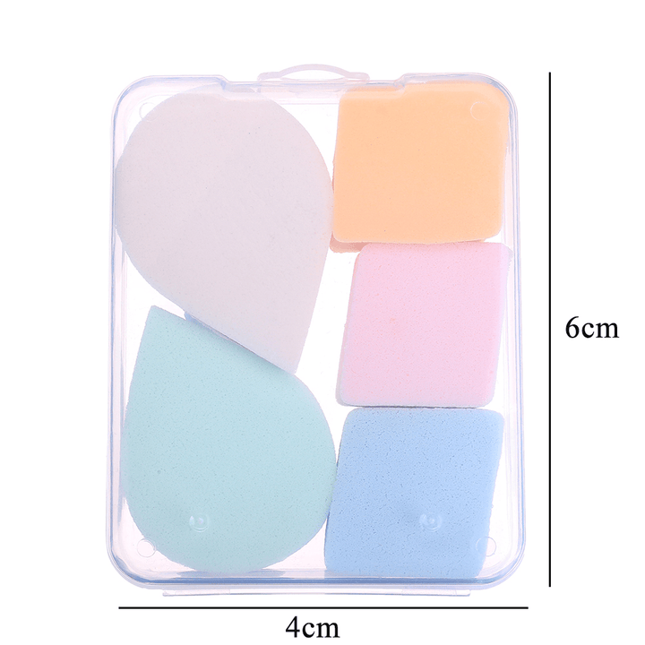 Personal Care Soft Delicate Dry and Wet Use Soft Sponge Cleaning Sponge Color Randomised - Trendha