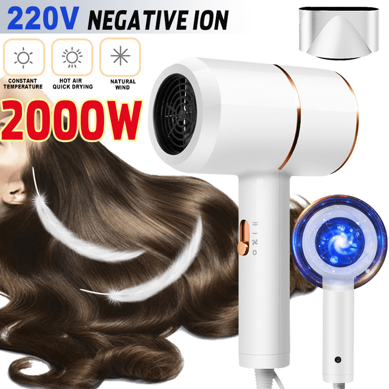 2000W 220V Thermostatic Air Blowe Hair Dryer Negative Ion Hair Styling - Trendha