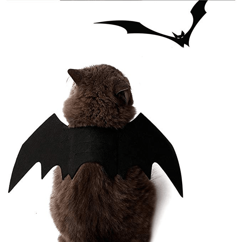 Halloween Pet Dog Cat Bat Wings Costume Black Pet Puppy Cat Clothing Pet T-Shirt - Trendha