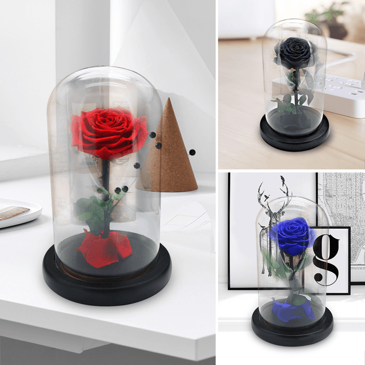 Forever Rose Beauty & the Beast Immortal Fresh Flower Christmas Unique Gifts Decorations - Trendha