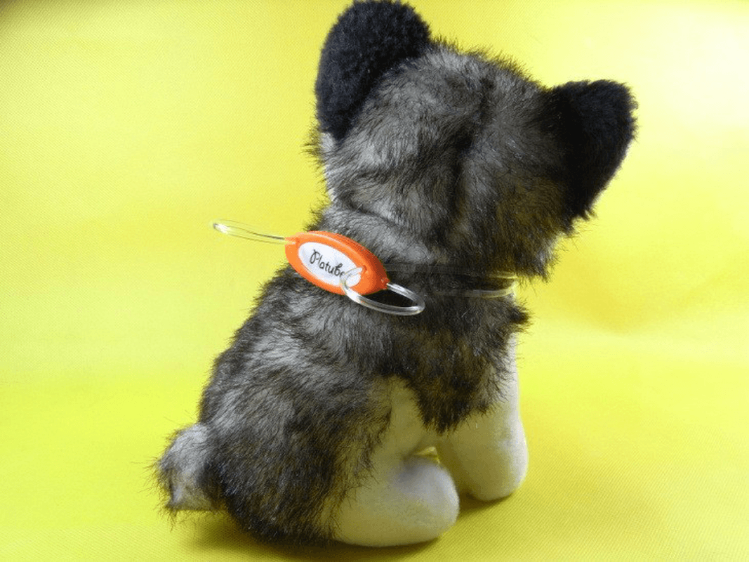 Colorful LED Pet Dog Collar Chain Luminous Light LED Dog Cat Night Light Collar - Trendha