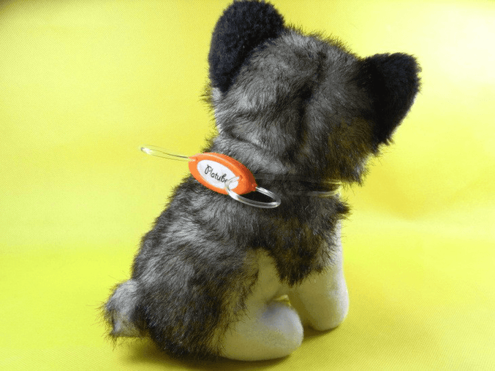 Colorful LED Pet Dog Collar Chain Luminous Light LED Dog Cat Night Light Collar - Trendha