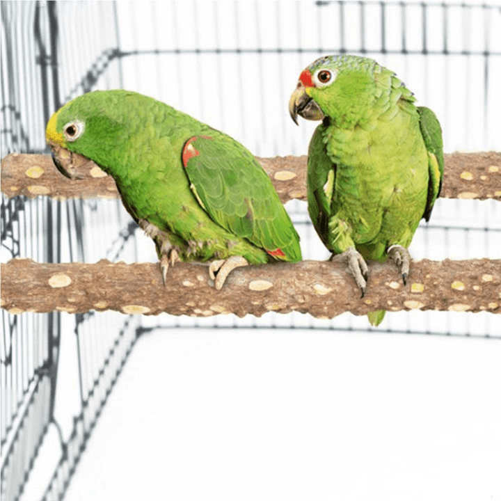 Natural Wooden Stand Stick for Pet Birds Parrots Standing Swing Chewing Bite Claw Grinding Perch Cage Toys Accessory - Trendha
