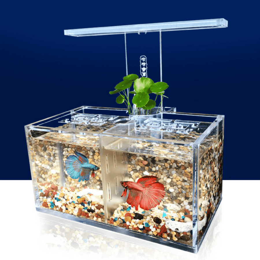 LED Light Acrylic Clear Aquarium Mini Betta Fish Tank Desktop Water Pump - Trendha