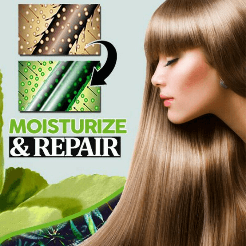 Polygonum Multiflorum Black Hair Shampoo Soap Shampoo Natural Organic Conditioner and Repair - Trendha