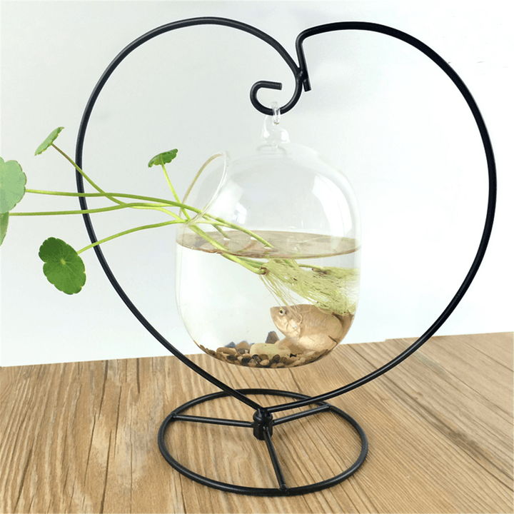 Hanging Clear Glass Ball Mini Fish Tank Aquarium Home Desktop Decor with Stand - Trendha