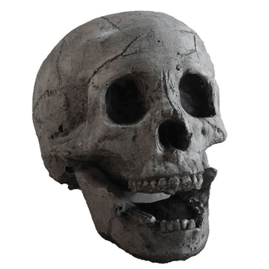 Halloween Ceramic Simulation Skull Decoration for Stove and Barbecue Parties - Trendha