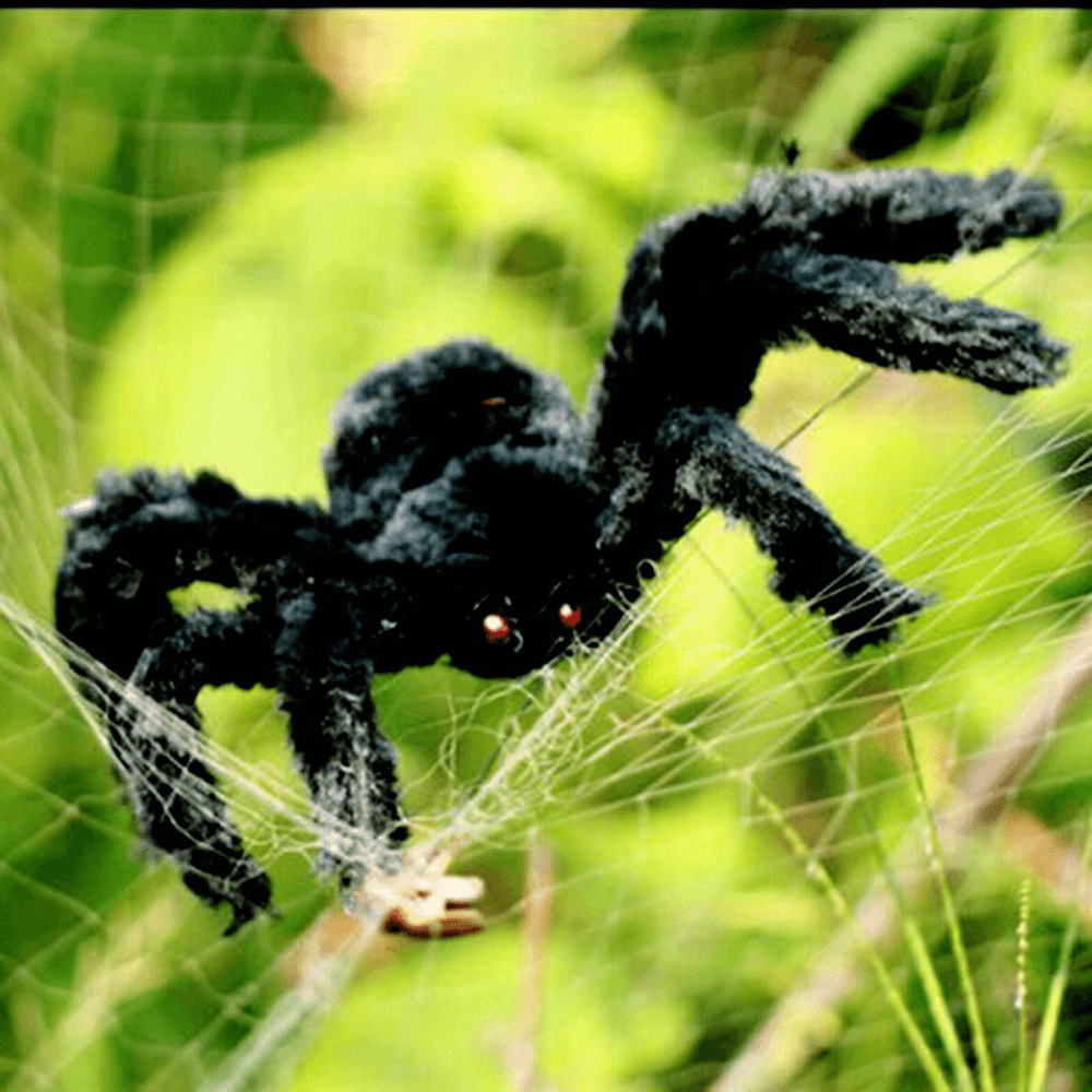Halloween Black Plush Giant Spider Realistic Hairy Spider Haunted House Prop Halloween Party Scary Decoration - Trendha