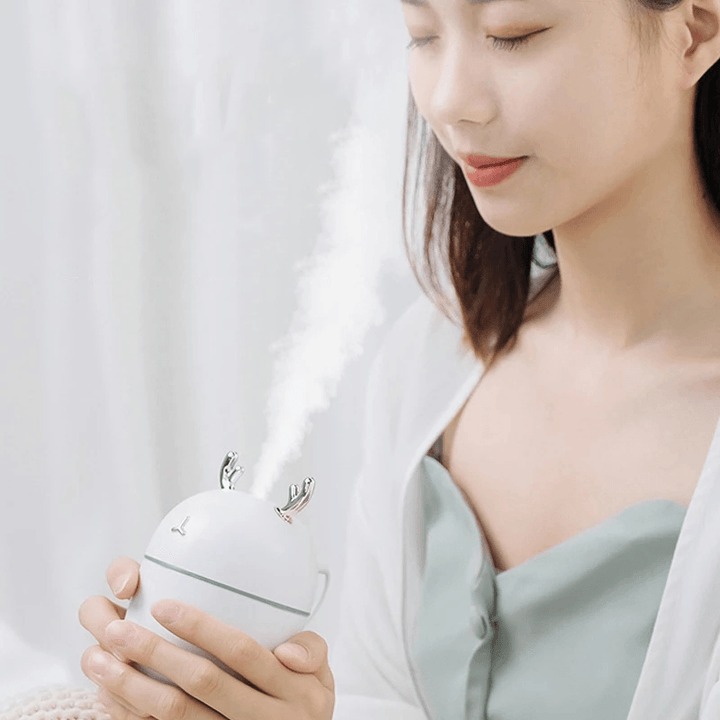 Humidifier Small Mini Air Aromatherapy Humidifier Purification Sprayer Water Replenishing Instrument USB Air Conditioning Household Bedroom - Trendha