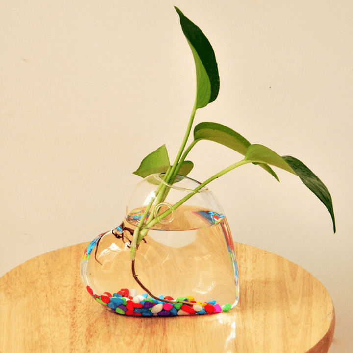 Creative Wall Hanging Transparent Glass Vase Fish Tank Hydroponic Living Room Home Decor - Trendha