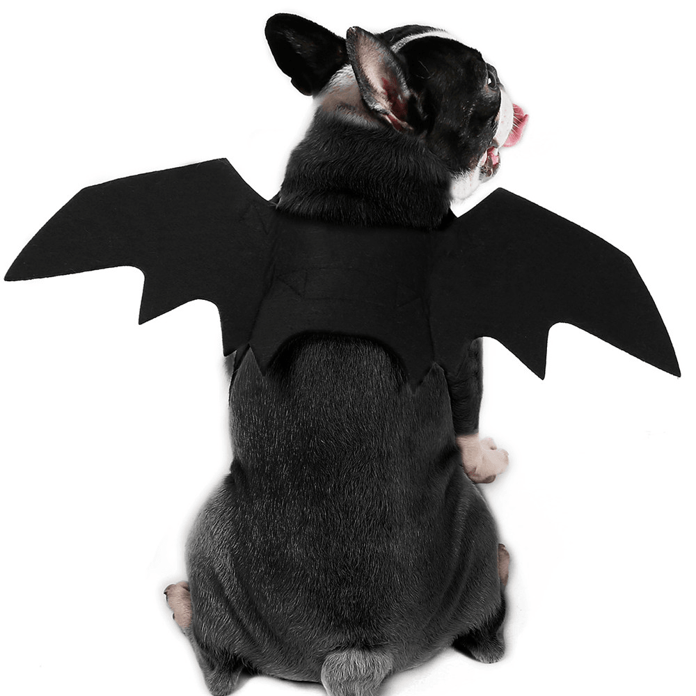 Halloween Black Bat Wings Cute Party Decoration Toys - Trendha