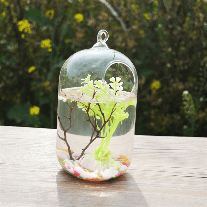 Hanging Clear Glass Ball Mini Fish Tank Aquarium Home Desktop Decor with Stand - Trendha