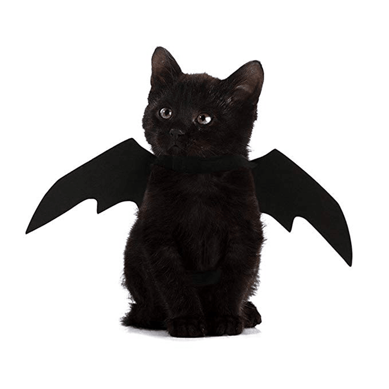 Halloween Pet Dog Cat Bat Wings Costume Black Pet Puppy Cat Clothing Pet T-Shirt - Trendha