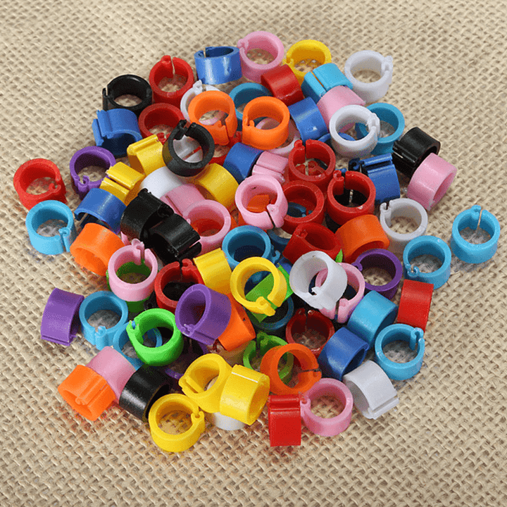 150Pcs Bird Leg Bands for Pigeon Parrot Finch Canary Hatch Poultry Pet Toys - Trendha