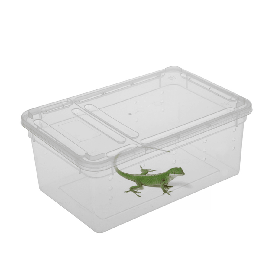 Transparent Plastic Box Insect Reptile Transport Breeding Live Food Feeding Box Parts Storage Box - Trendha