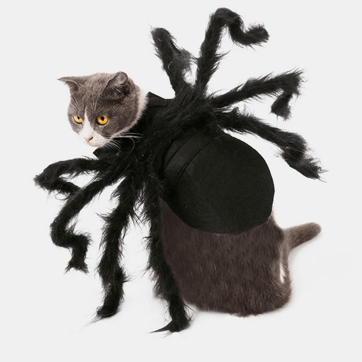 Pet Halloween Funny Spider Clothes Cat Dog Horror Simulation Plush Spider Clothes for Party Dress - Trendha