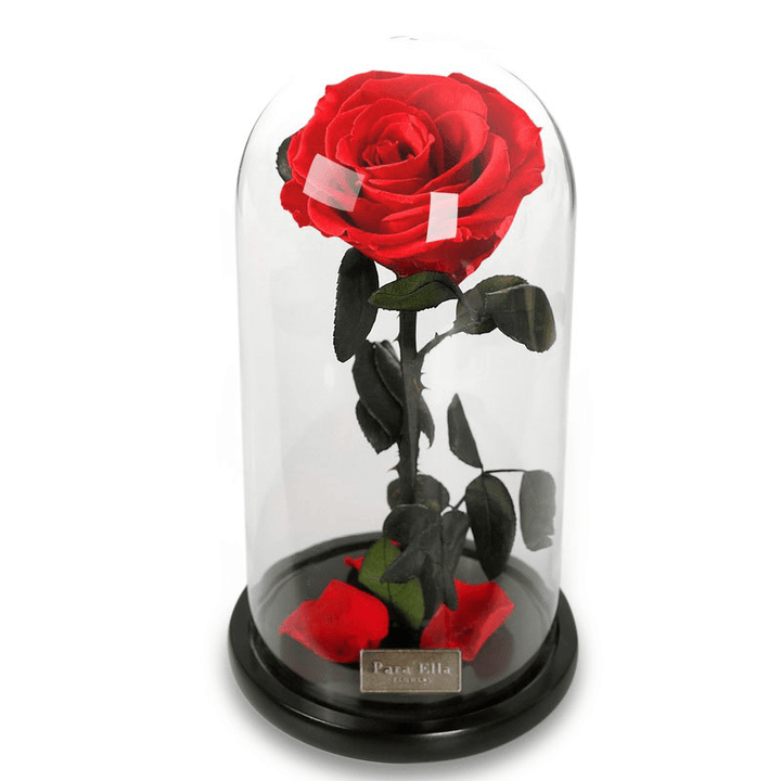 Para Ella Preserved Fresh Rose Flower with Fallen Petals in Glass Dome on a Wooden Base as Gift for Valentine'S Day, Anniversary, Birthday , Wedding - Trendha