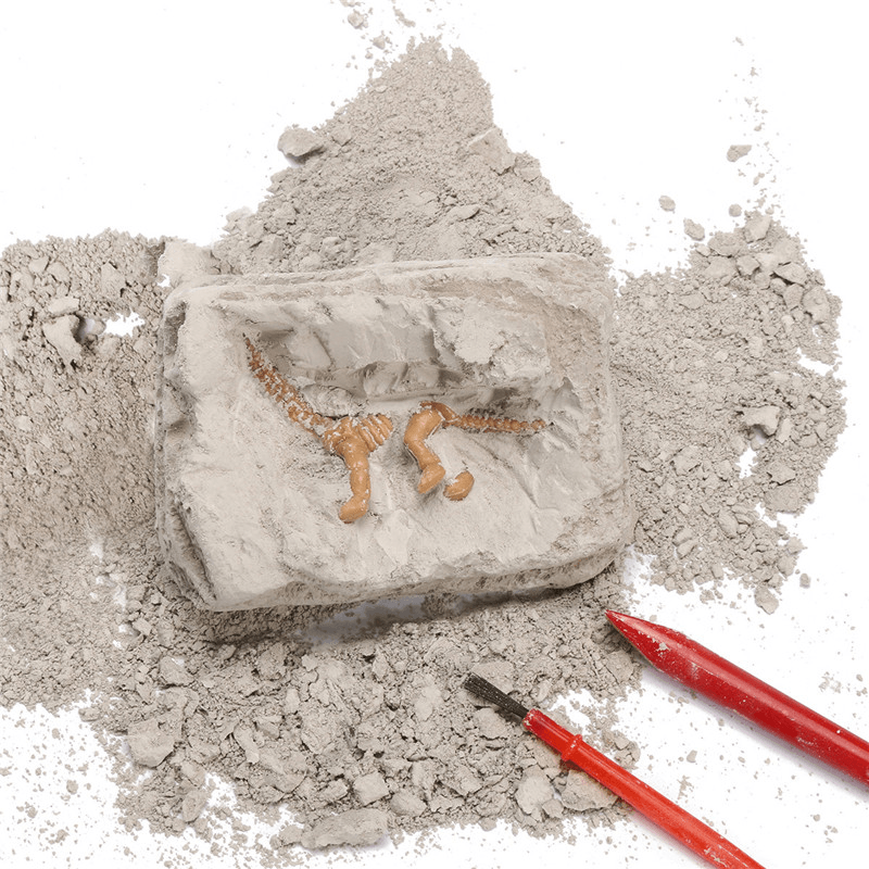 Dinosaur Fossils Excavation Kit Archaeology Dig up History Skeleton Fun Kids Gift Toys - Trendha