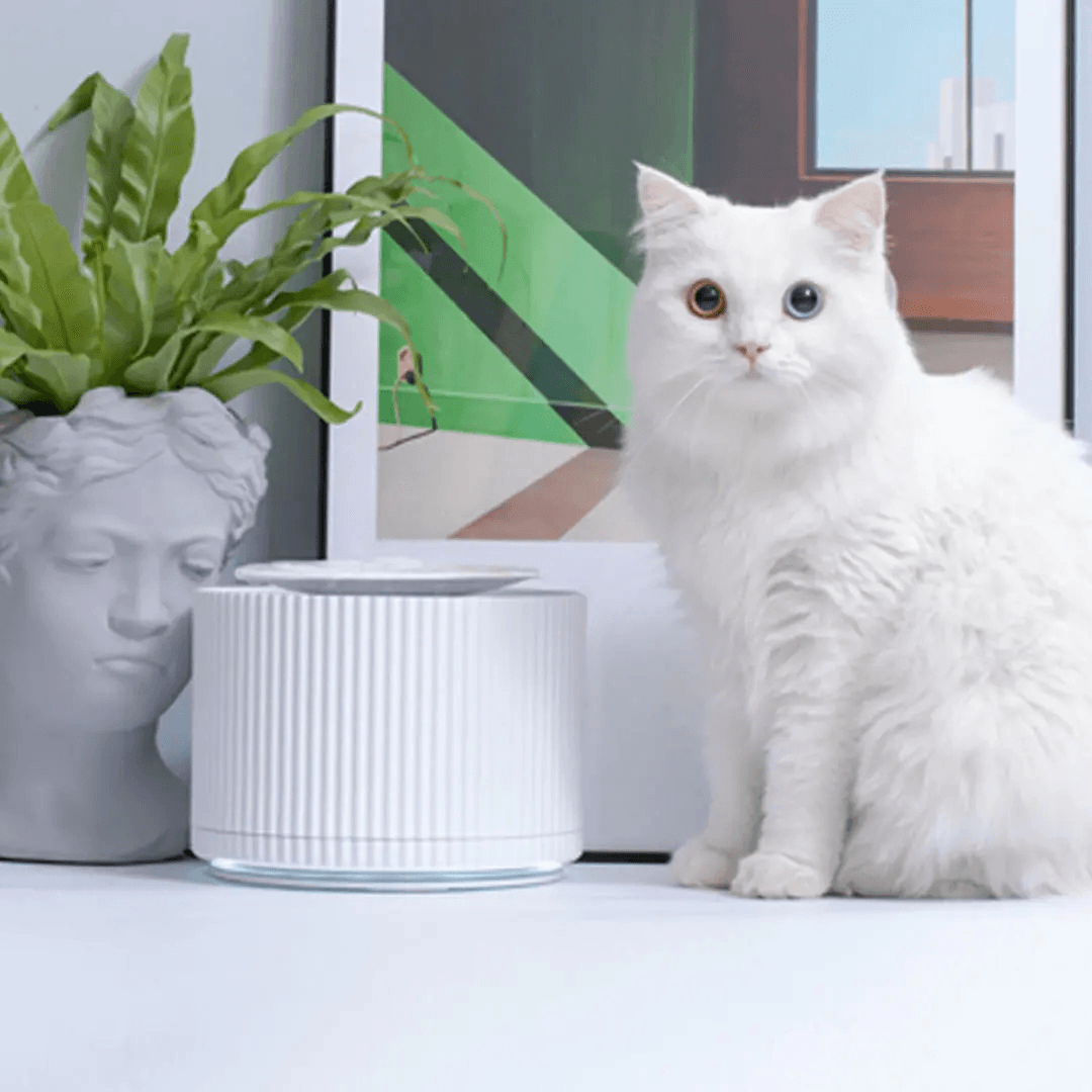 FURRYTAIL Smart Cat Pet Water Dispenser Water Purifier 5 Layer Filter 360 Degree Open Drinking Tray Pet Drinking Fountain from Pet Smart Feeder - Trendha
