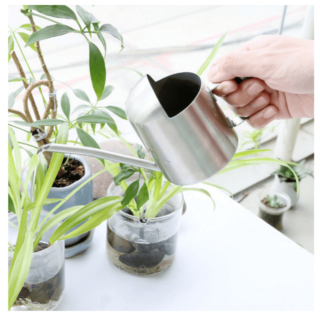 Household Stainless Steel Watering Can Kettle Garden Water Bottle Plant Flower Sprinkling Pot - Trendha