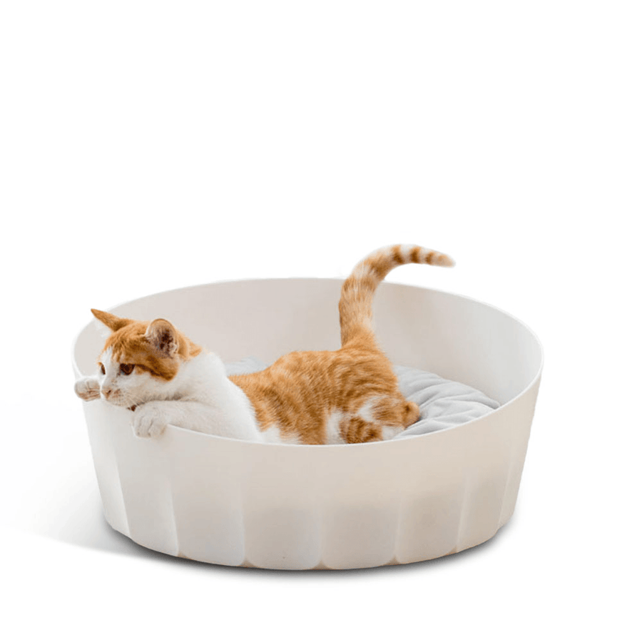 Jordan&Judy White round Pet Cat Nest Sleeping House Bed Washable Soft Material From - Trendha