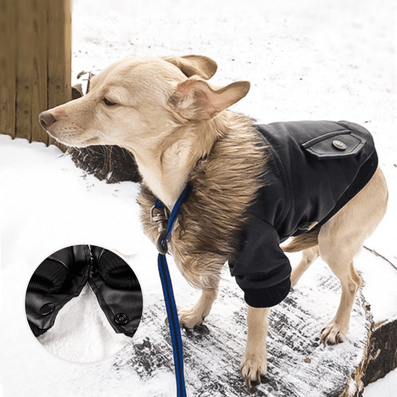 Nsmsan KLN-1725 Pet Fur Collar Leather Coats Waterproof Pet Dog Winter Warm Coats Puppy Cold Weather Clothes - Trendha