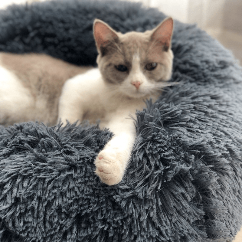 Multicolor Cat/Dog Pet Bed Super Soft Warm round Depth Super Cute Kennel - Trendha