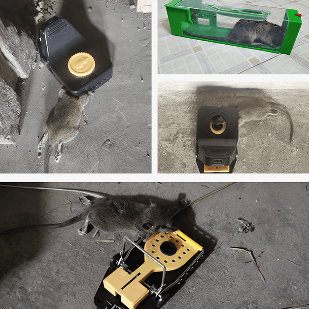6Pcs Reusable Mouse Traps Rat Trap Rodent Snap Trap Mice Trap Catcher Killer - Trendha