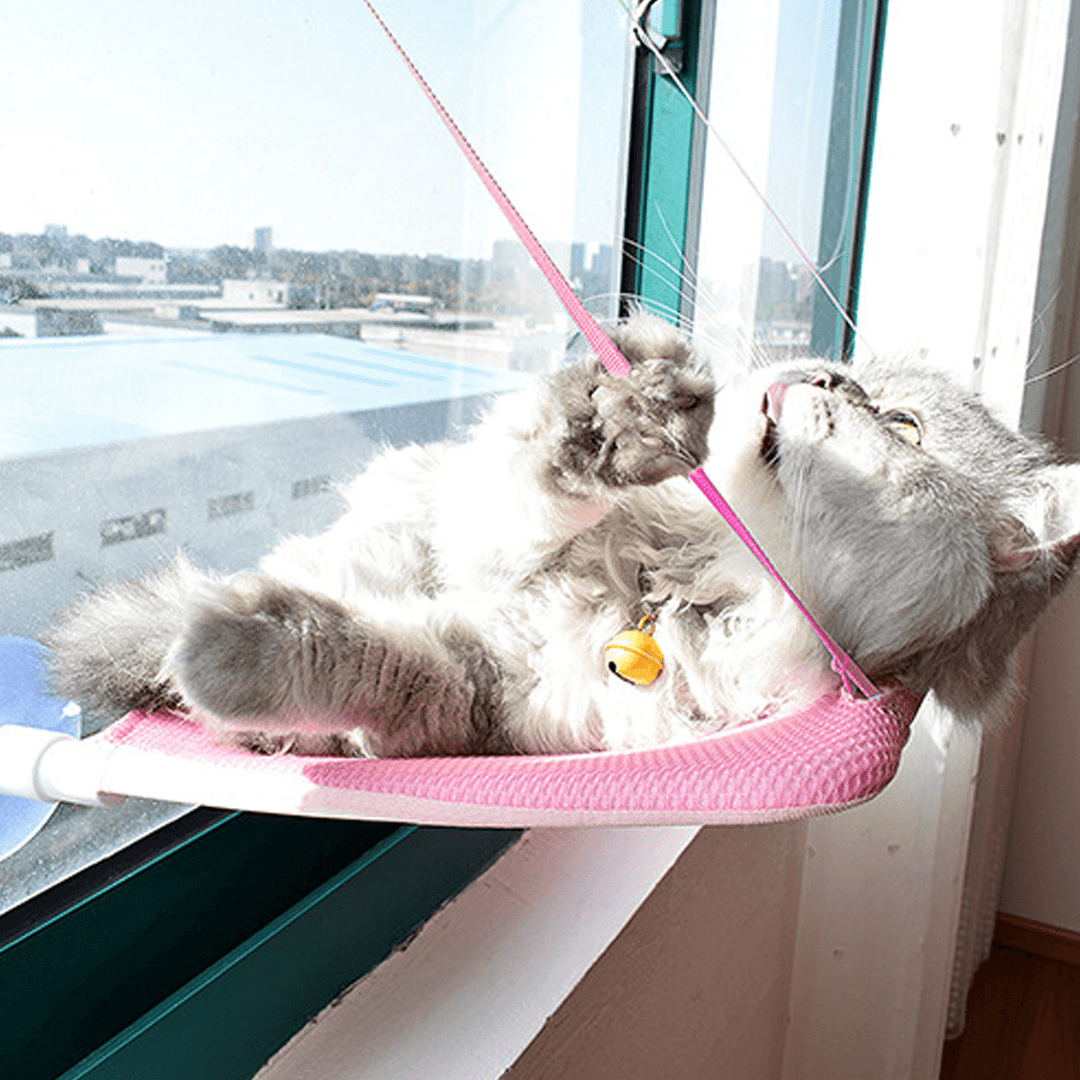 The Window Hanging Sucker Type Plastic Cat Hammock - Trendha