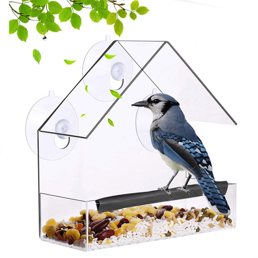Plastic Transparent Bird Wild Parakeet Feeder Bird Hanging Feeding Tool for Garden Yard Decoration - Trendha