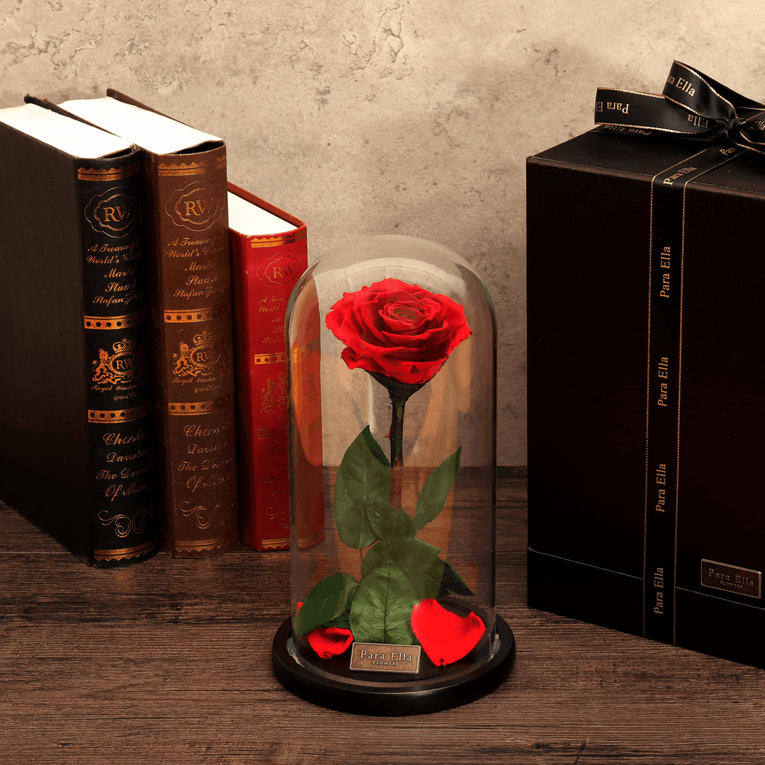Para Ella Preserved Fresh Rose Flower with Fallen Petals in Glass Dome on a Wooden Base as Gift for Valentine'S Day, Anniversary, Birthday , Wedding - Trendha