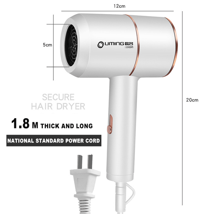 2000W 220V Thermostatic Air Blowe Hair Dryer Negative Ion Hair Styling - Trendha