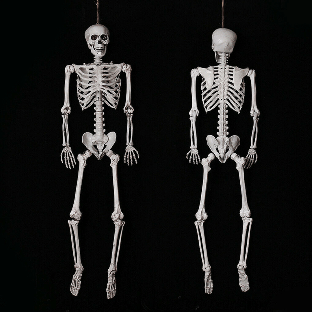 90Cm Human Skeleton Scary Bones Poseable Hanging Halloween Prop Party Decorations - Trendha