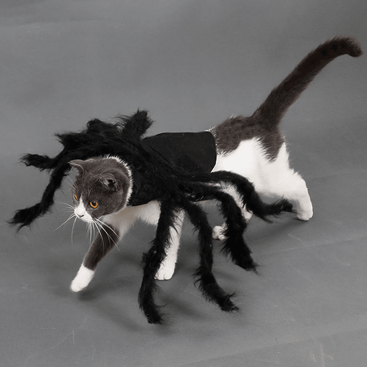 Pet Halloween Funny Spider Clothes Cat Dog Horror Simulation Plush Spider Clothes for Party Dress - Trendha
