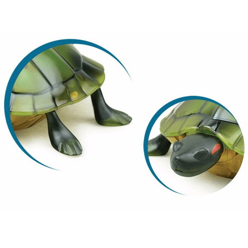 Infrared Electric RC Tortoise Simulation Remote Control Turtle Kid Toy - Trendha