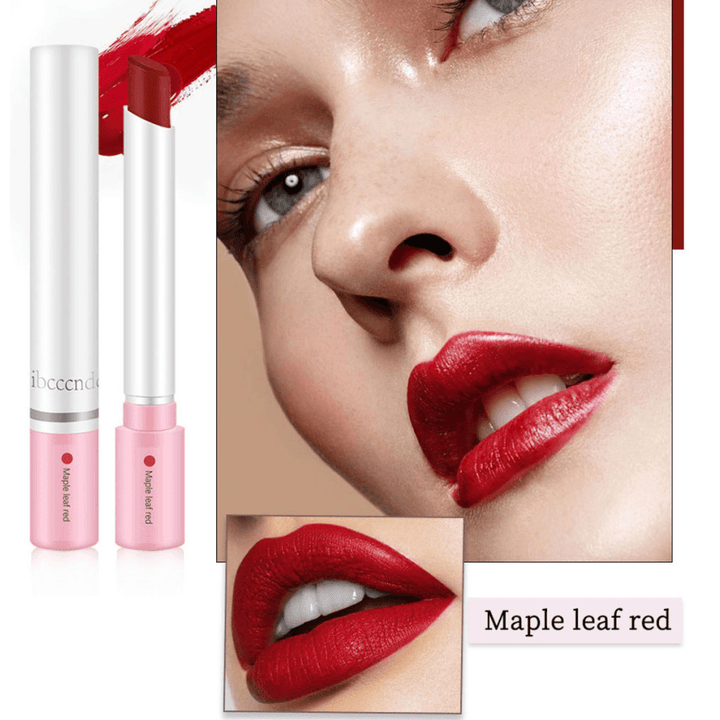 4Pcs/Set Lipstick Kit Matte Velvet Long-Lasting Pipe Lipstick Makeup - Trendha