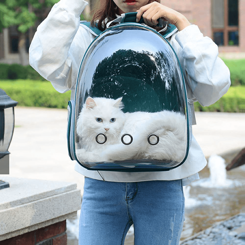 5 Colors Breathable Transparent Pet Travel Backpack Dog Cat Carrier Shoulder Bag - Trendha