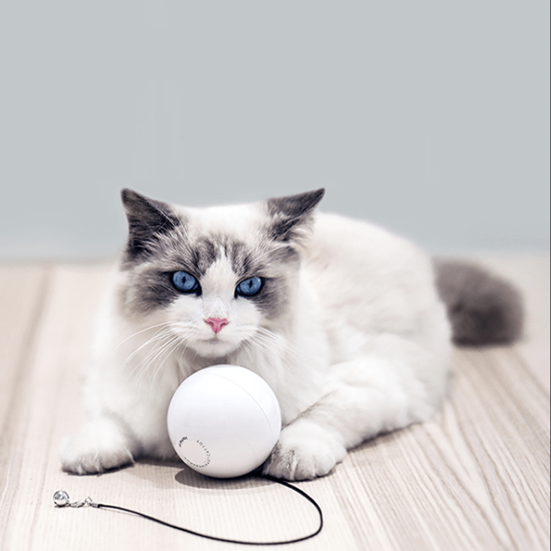 Homerun Smart Interactive Pet Toys Automatic 360 Degree Self Rotating Ball Toys with Bell Built-In Spinning Eye-Protection LED Cat Toy from Eco-System - Trendha