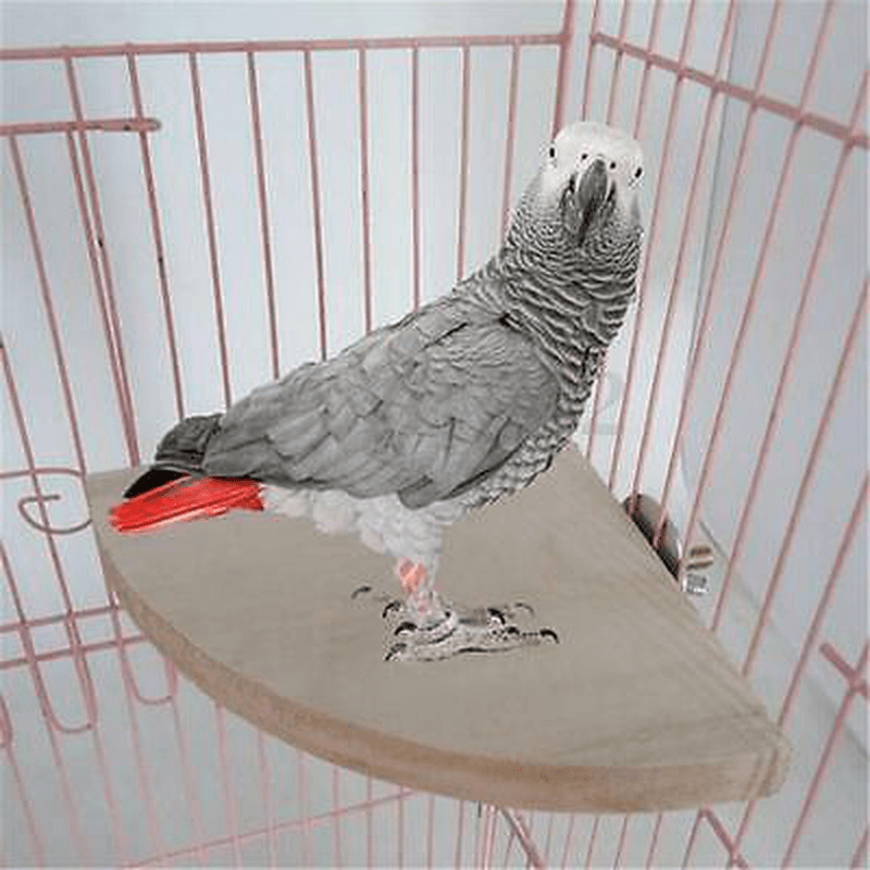Wooden Coin Parrot Bird Cage Perches Stand Platform Pet Budgie Hanging Toy Pet Toys - Trendha