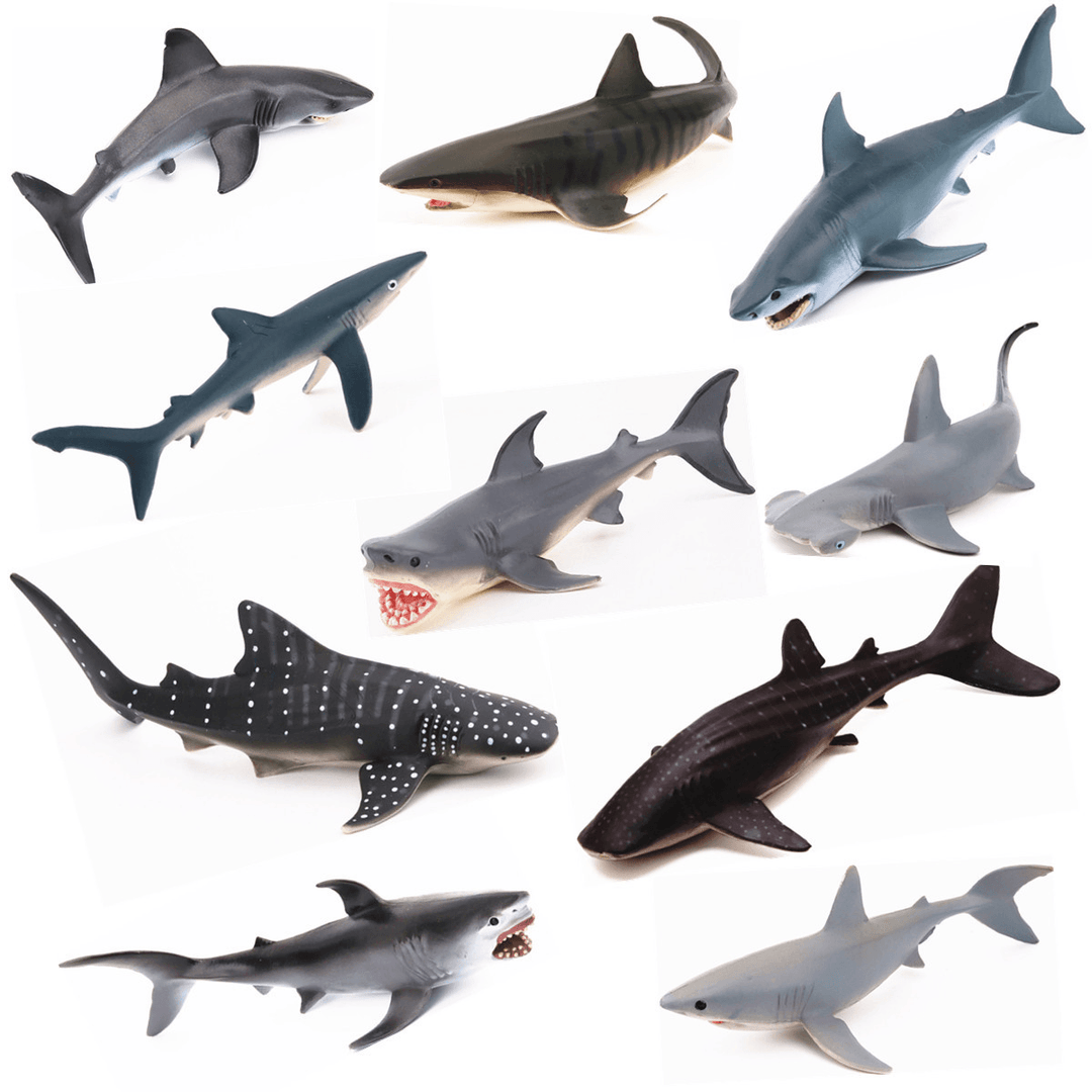 Realistic Ocean Animal Model Marine Animal Solid Whale Shark Series Science Education Puzzle Toys - Trendha